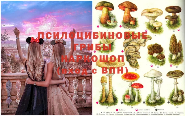 прущие крисы Богданович