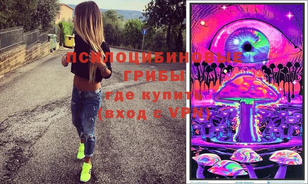 крисы Беломорск