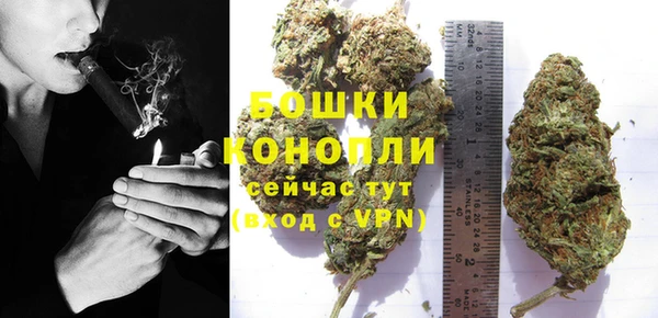 крисы Беломорск